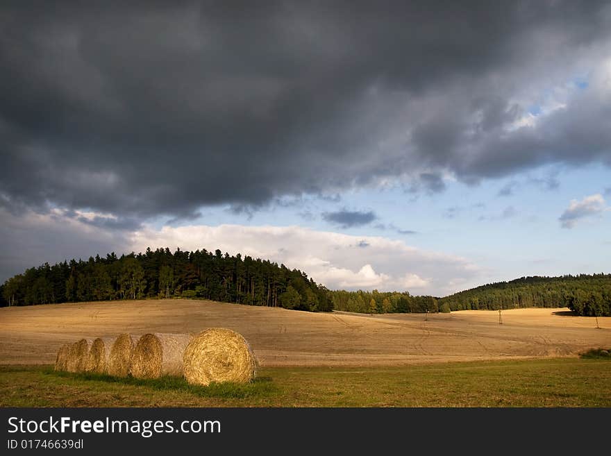 Haymaking