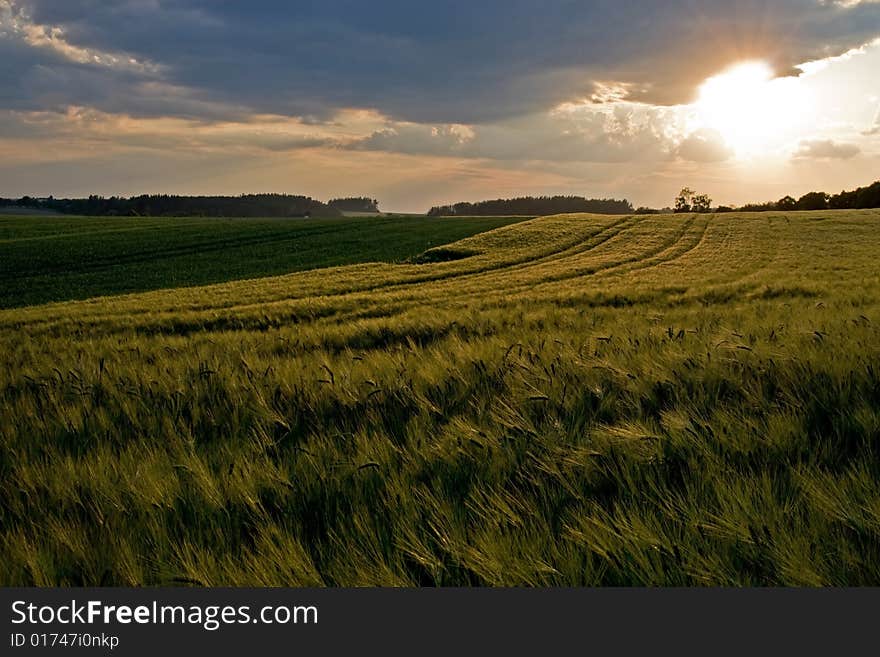 Summer evening