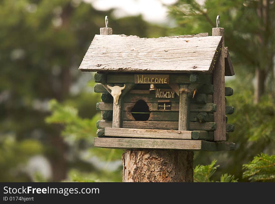 Rustic Birdhouse Amongst Pine Trees