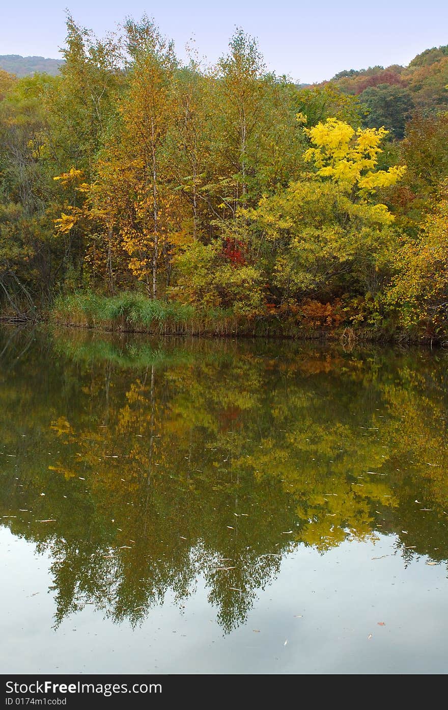 Autumn forest and lake scenery.