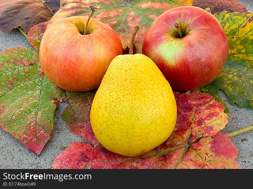 Two apples and pear on a background of a fall leafs