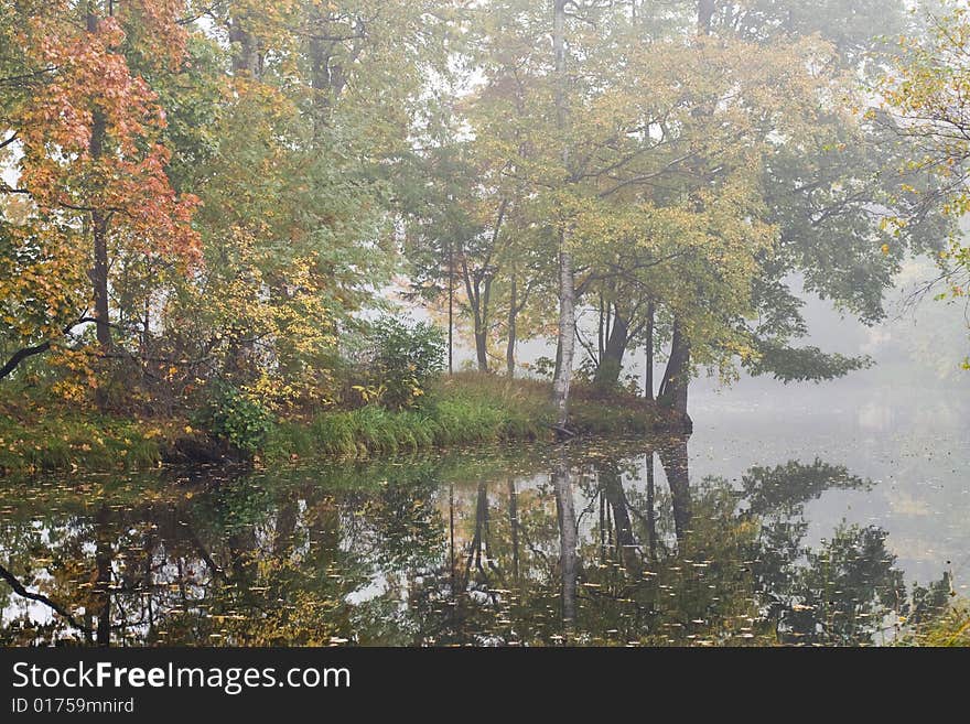 Outdoor shot. Foggy fall island. Outdoor shot. Foggy fall island.