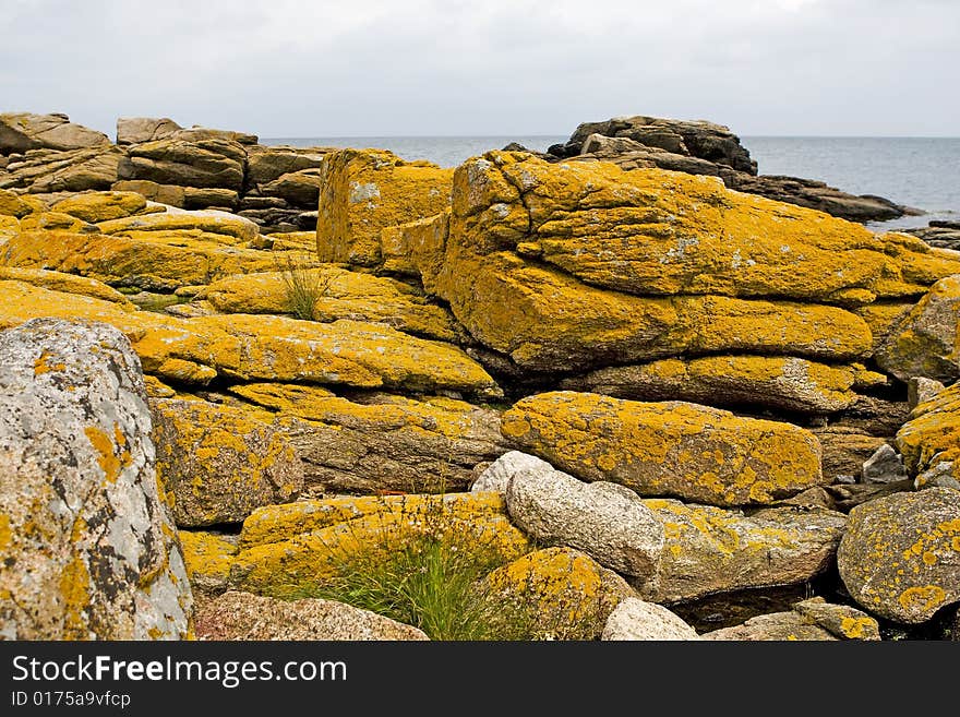 Stony coast at the Baltic Sea, Bornholm, Denmark