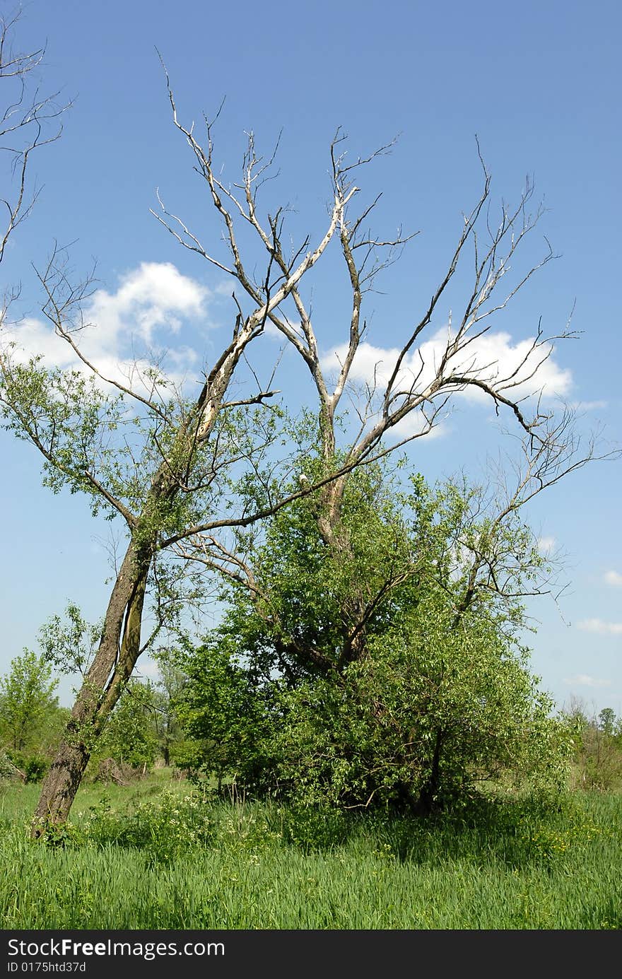 Beautiful scenery, charming polish countryside