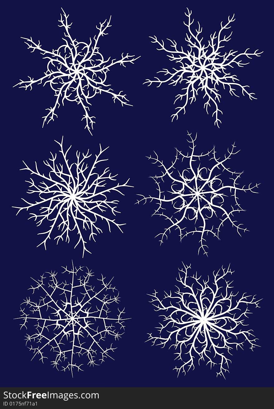 Set of six beautiful different snowflakes. Additional vector format in EPS (v.8).