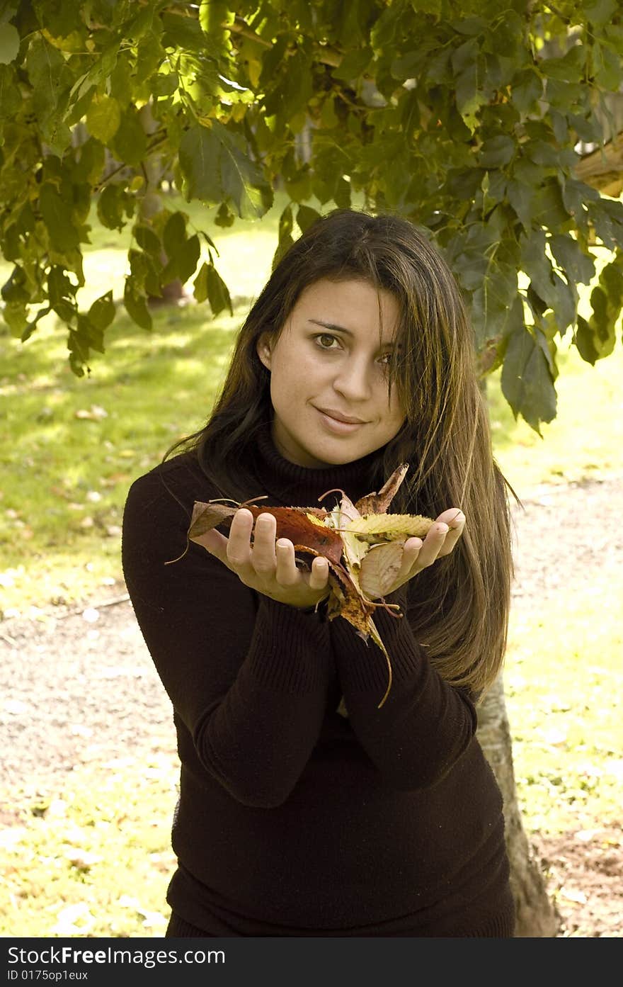 An attractive brunette woman in late twenties holds autumn leaves in her hands out in front of her. An attractive brunette woman in late twenties holds autumn leaves in her hands out in front of her.