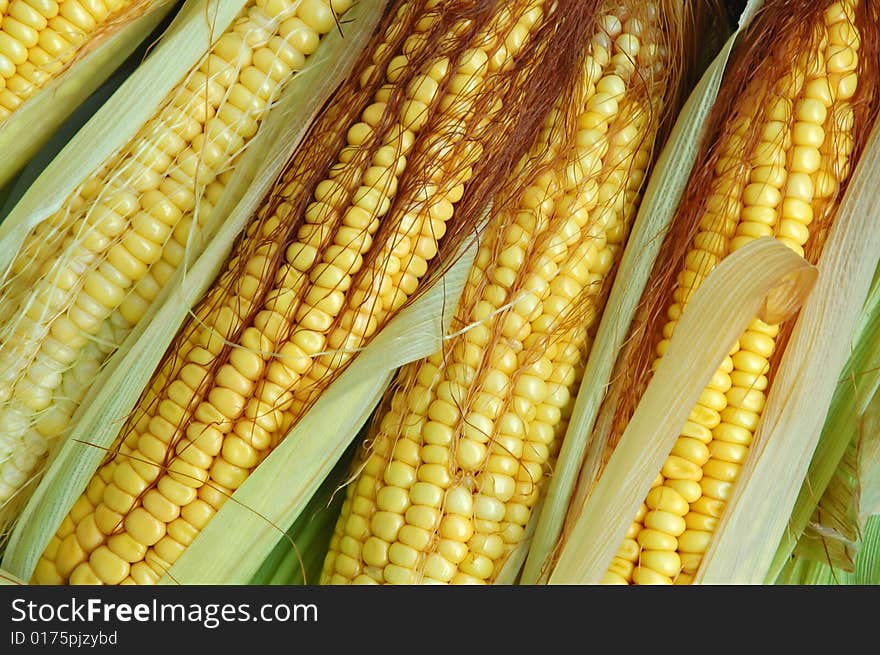 Fresh yellow corn on the cob. Fresh yellow corn on the cob