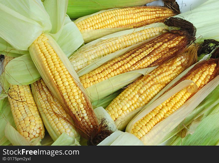 Fresh corn on the cob