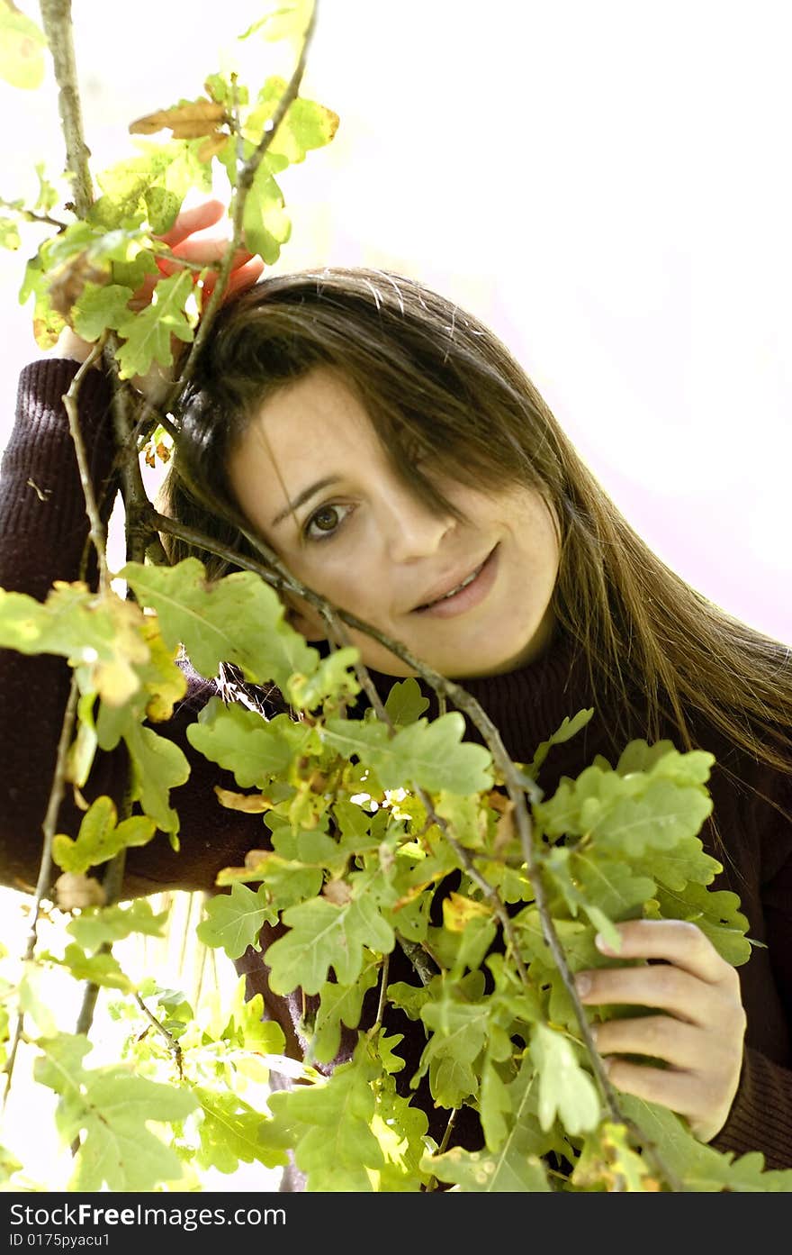 Woman lovingly holding leaves on a tree. Woman lovingly holding leaves on a tree.