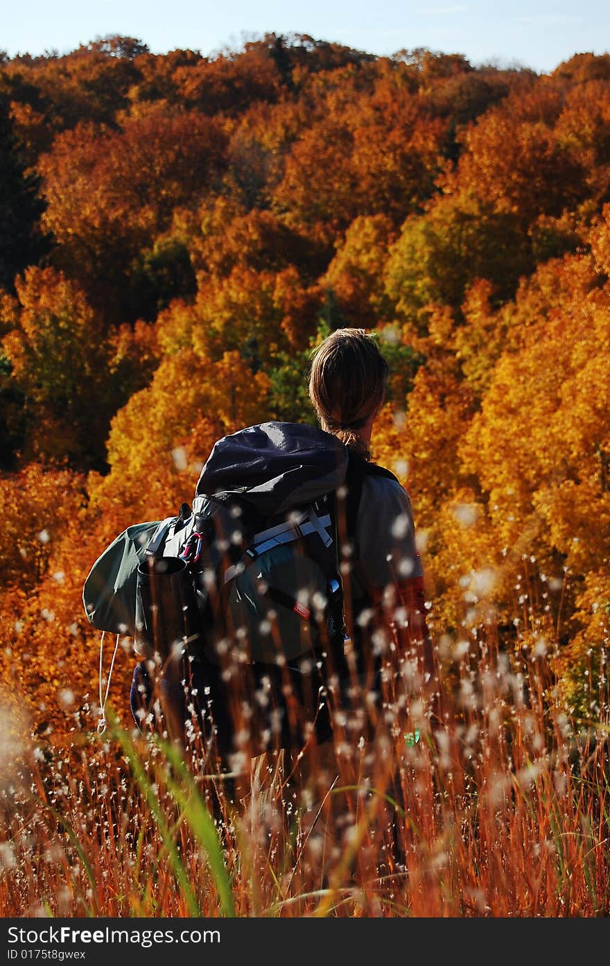 Autumn Hike