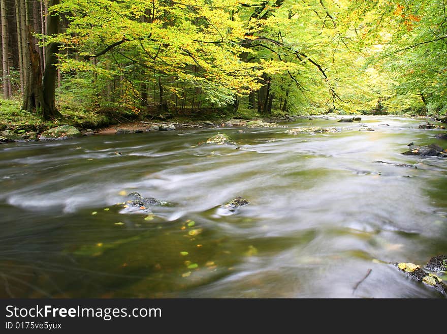 Autumn River