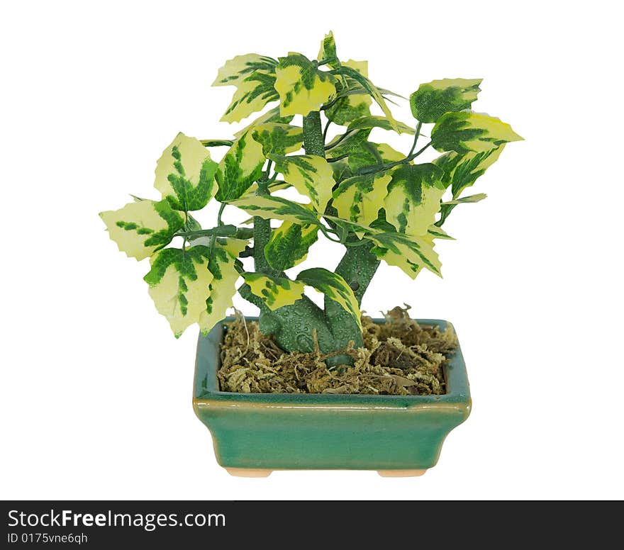 Artifical plant in a pot. Artifical plant in a pot