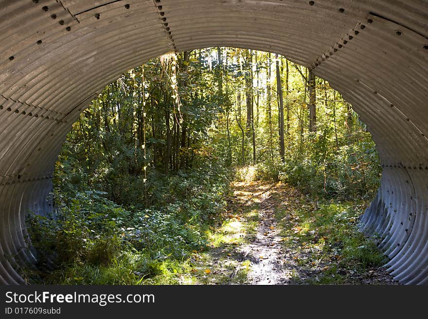 View through an undercrossing. The footpath leads through a light, deciduous forest, with the colours of beginning autumn. View through an undercrossing. The footpath leads through a light, deciduous forest, with the colours of beginning autumn