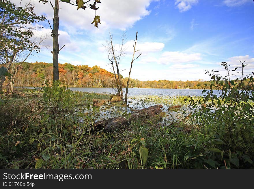 Sand lake in nthe fall looking west in chain o' lakes state park indiana