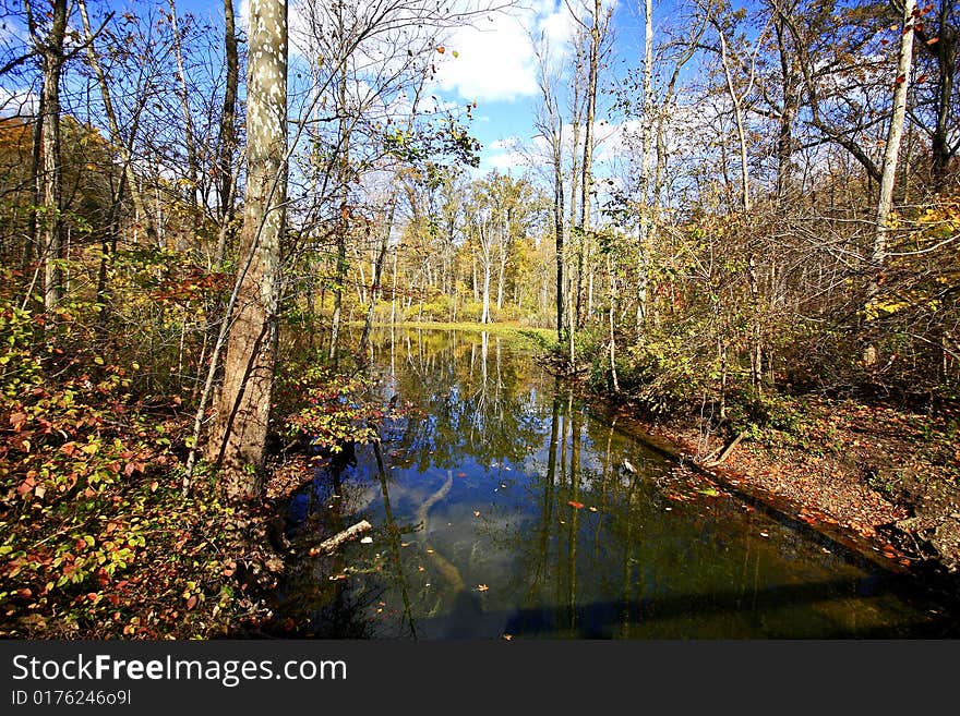 Sand lake reflections