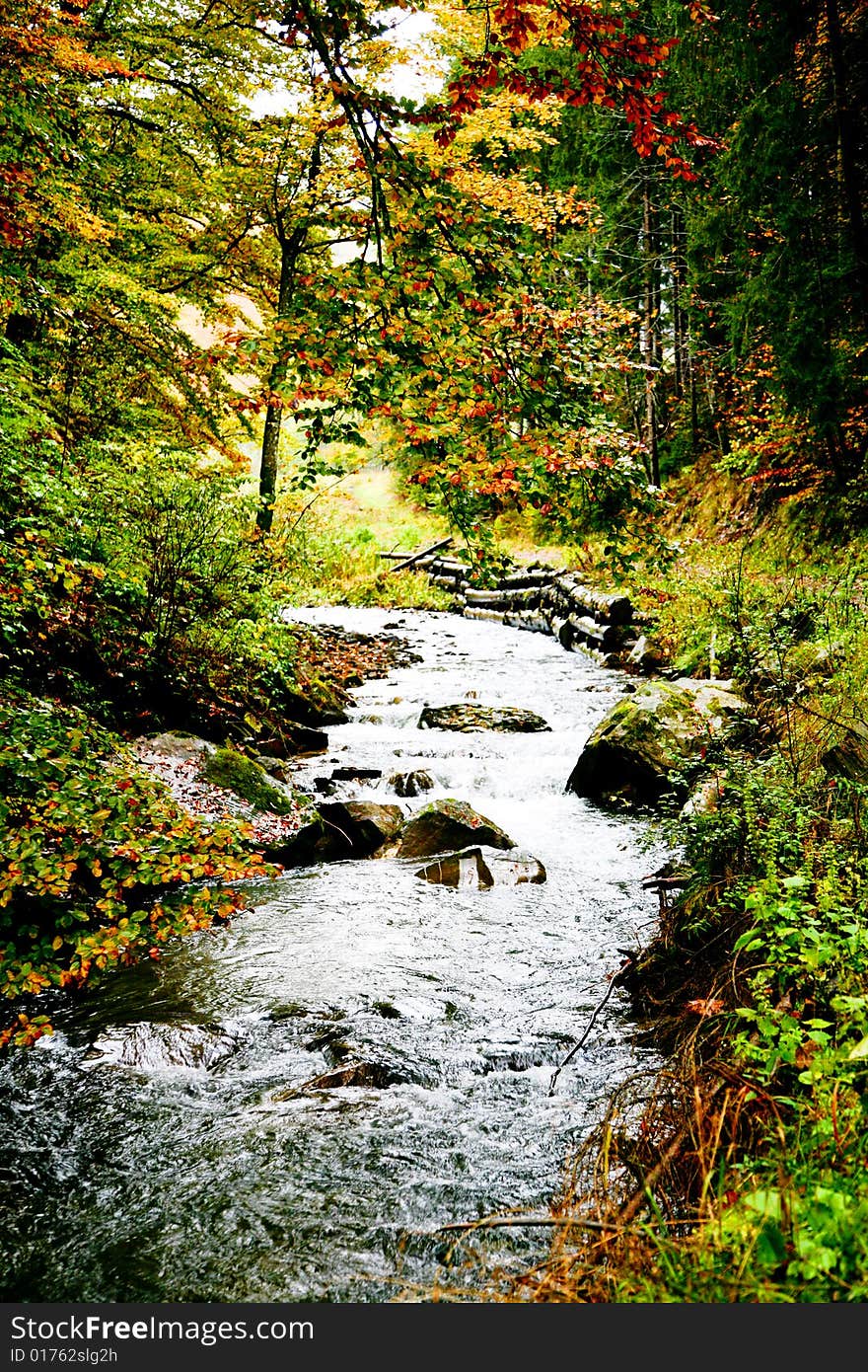 An image of river in autumn forest. An image of river in autumn forest