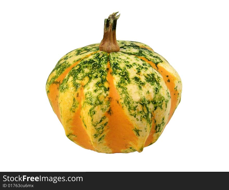 Gourd