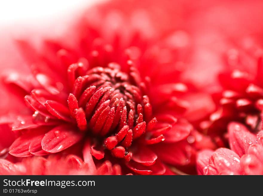 Water drops on red colours. A close up.