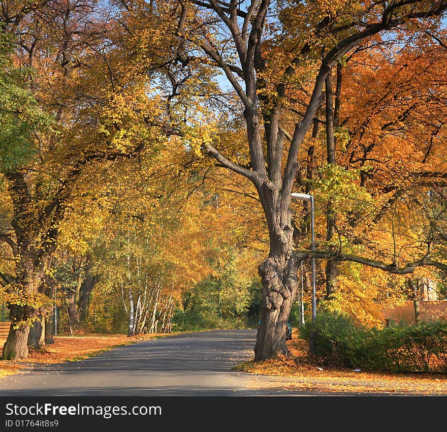 A picture of a beautiful road in autumn. A picture of a beautiful road in autumn