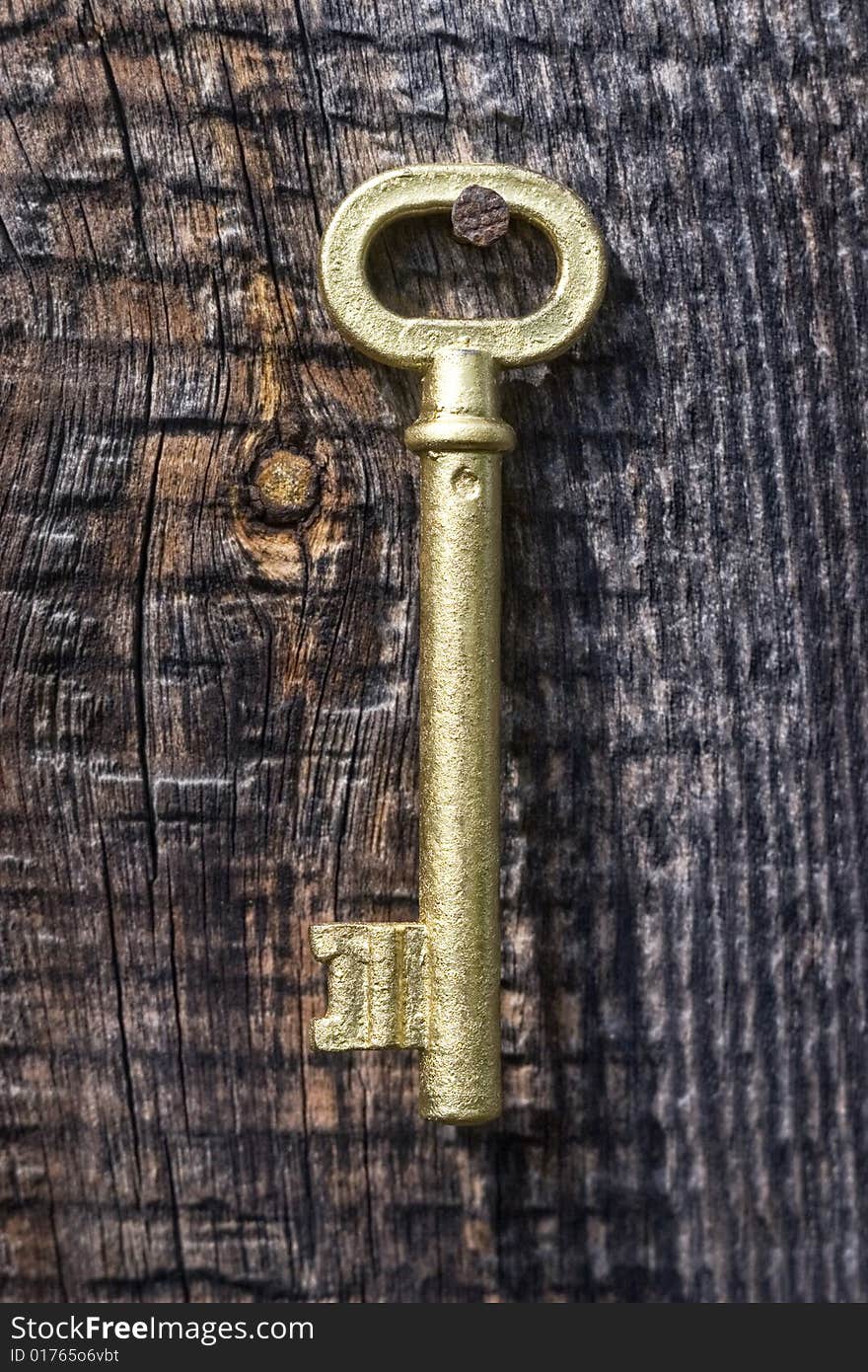 Old key of gold colour on a background of an old tree. Old key of gold colour on a background of an old tree.