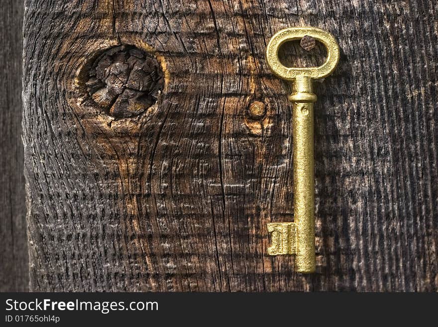 Old key of gold colour on a background of an old tree. Old key of gold colour on a background of an old tree.