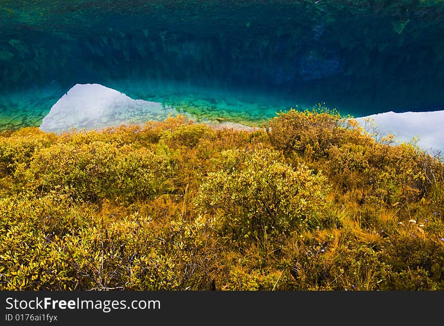 Very beautiful lakes and bush