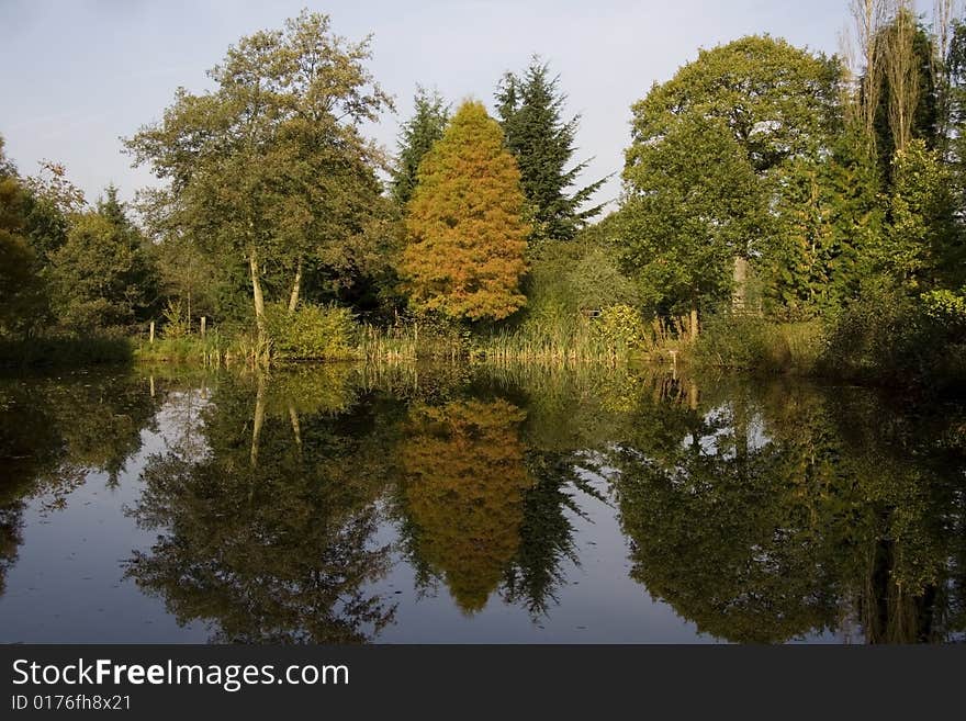 Autumn reflections