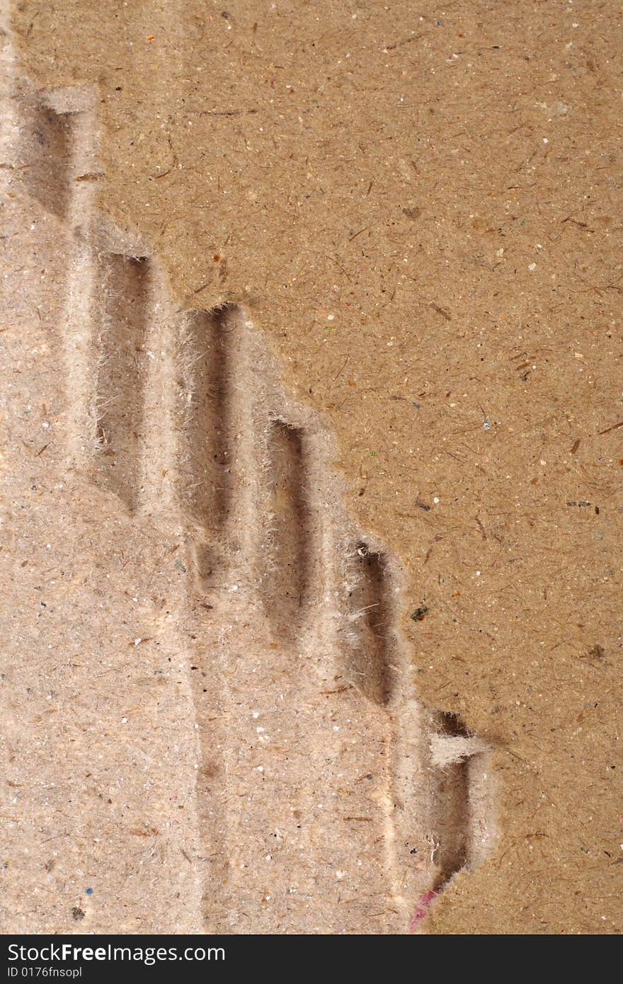 Macro shot of cardboard, abstract background. Macro shot of cardboard, abstract background