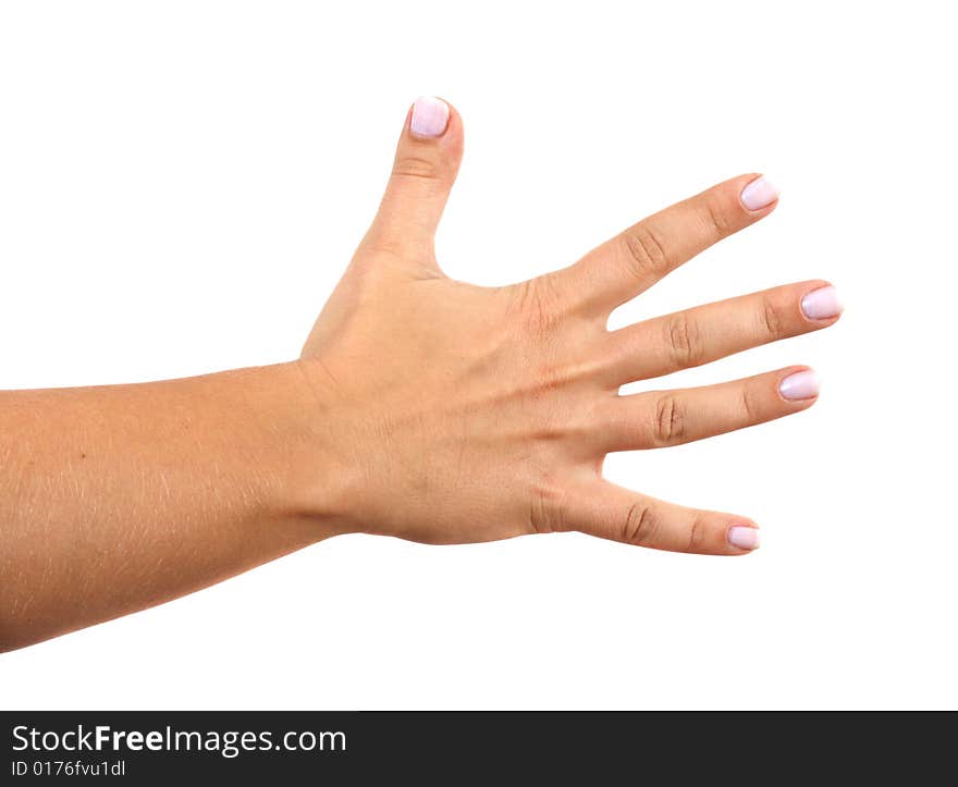 Hand, photo on the white background