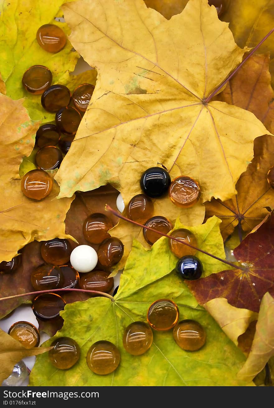 Glass balls on autumn foliage