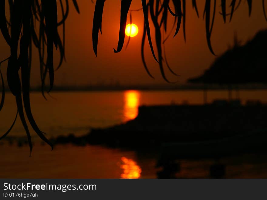 A view of Sunsetting in Bahrain from a hut in AlDar Islands, one of the remote islands in Bahrain. Took this picture while focusing on the huts roof. DOF. A view of Sunsetting in Bahrain from a hut in AlDar Islands, one of the remote islands in Bahrain. Took this picture while focusing on the huts roof. DOF.