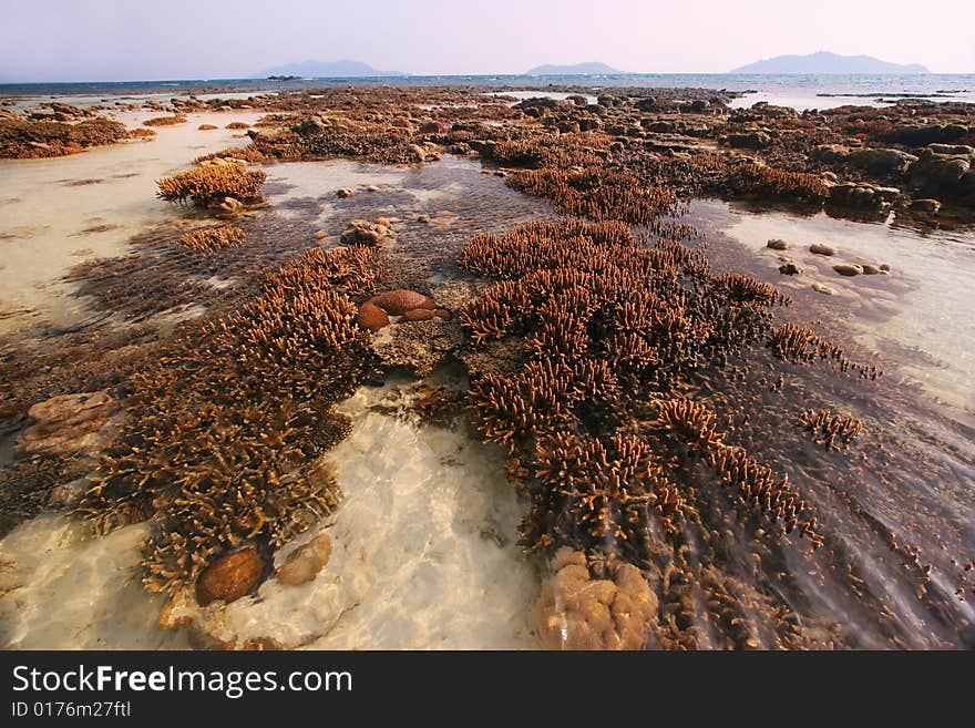 Pristine coral reefs, Malaysia