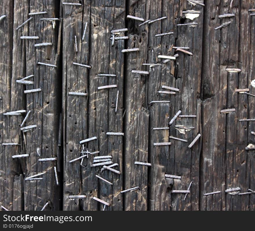 Texture of telephone pole with staples. Texture of telephone pole with staples