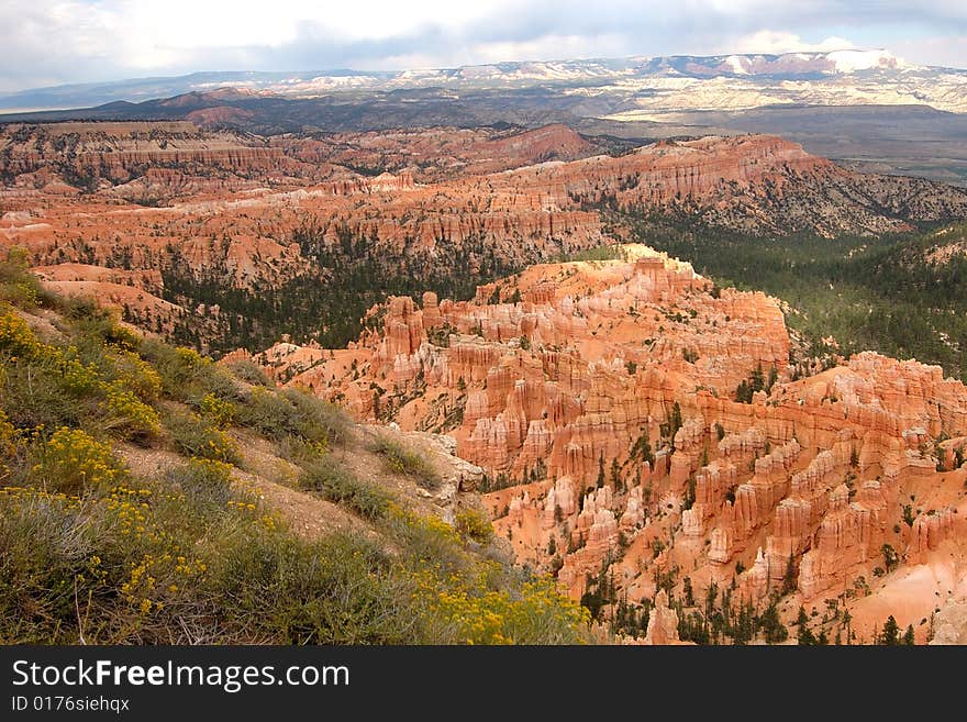 Amazing View of Bryce Canyon in Utah