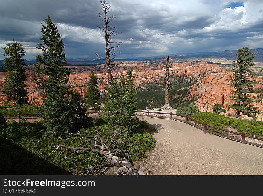 Amazing view of Bryce Canyon from a trail