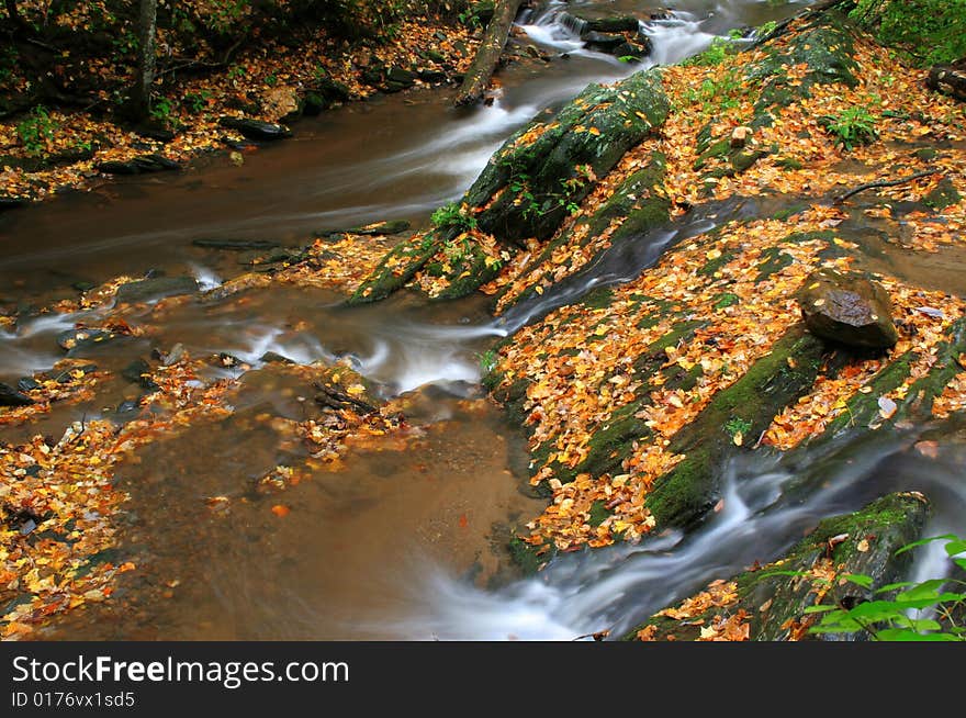 A small stream with beautiful golden leaves laying around during fall of the year. A small stream with beautiful golden leaves laying around during fall of the year.