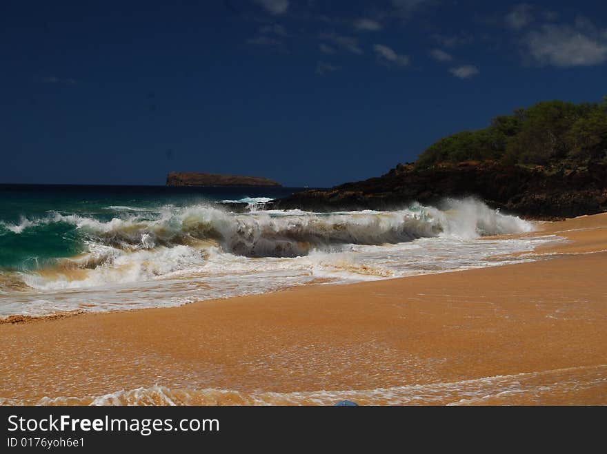 Maui Waves