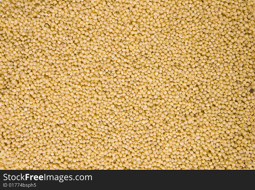 Background of yellow millet. close up