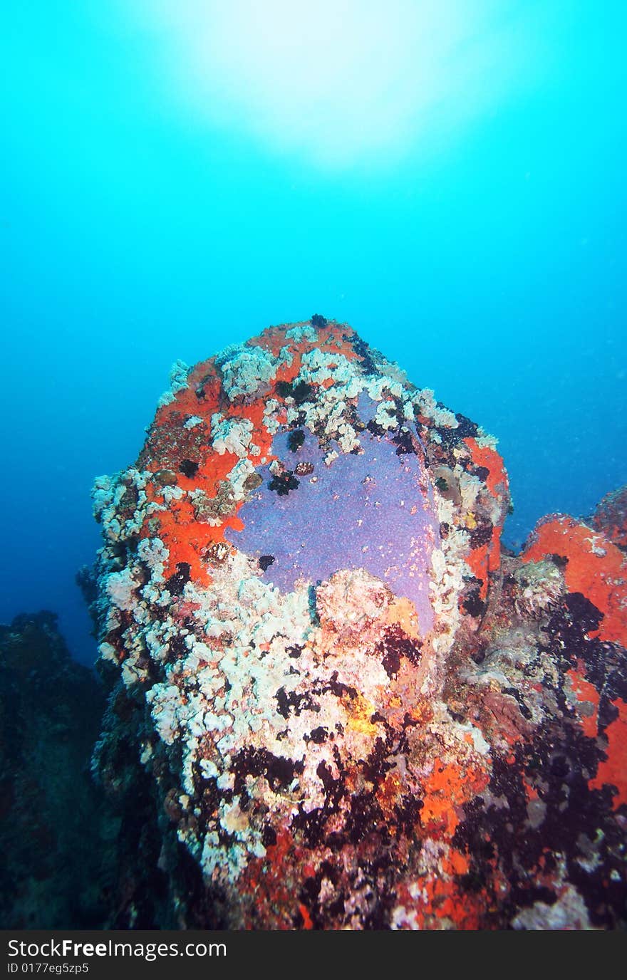 Colorful underwater rock formation in the Indian Ocean