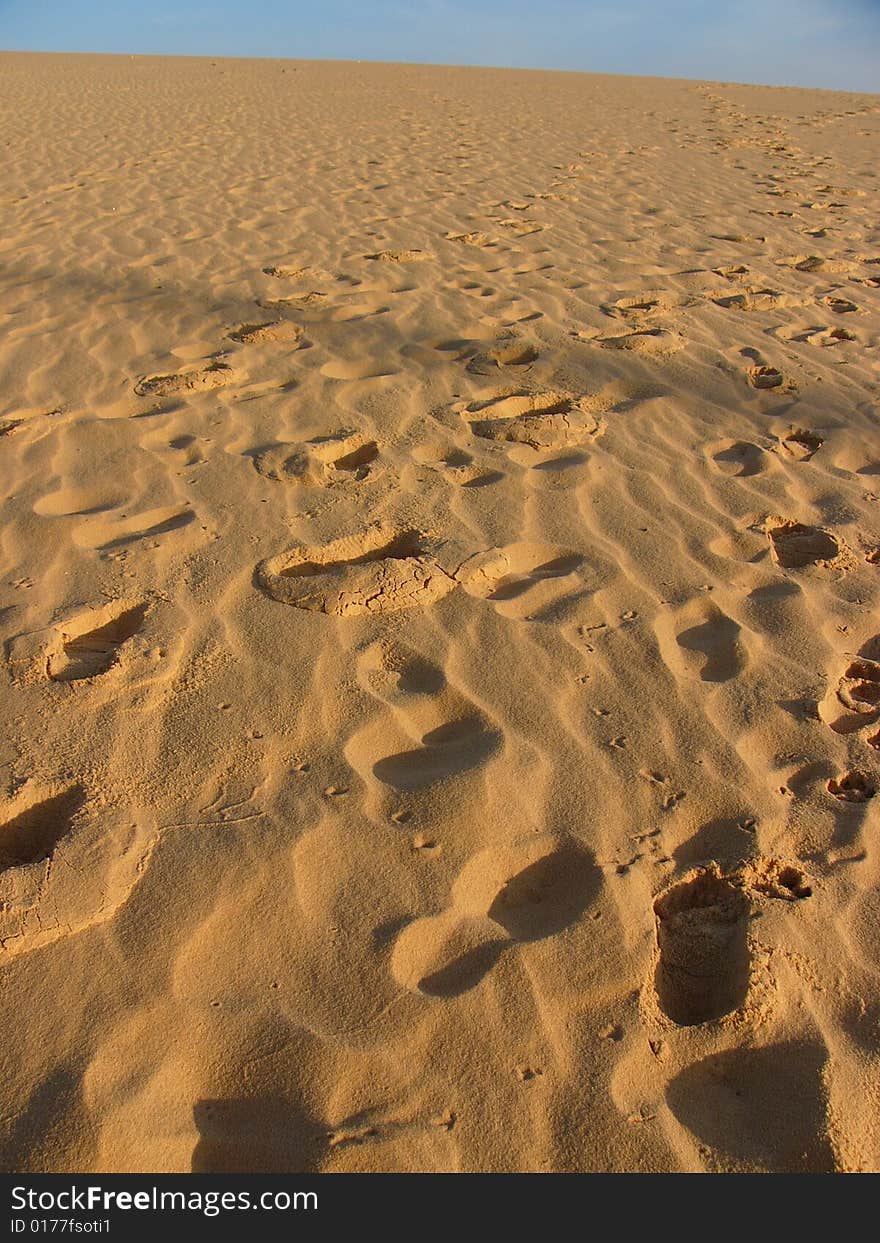 Footprints on the sandy desert.