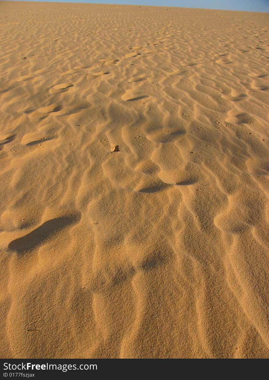 Footprints on the sandy desert. Footprints on the sandy desert.