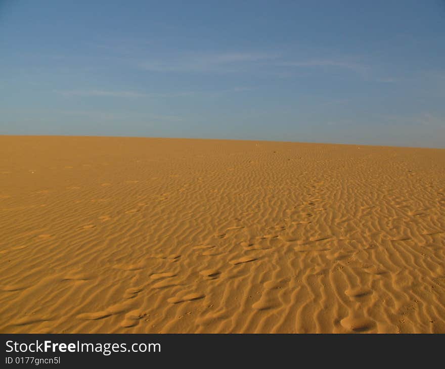 The desert is golden in the sunshine.