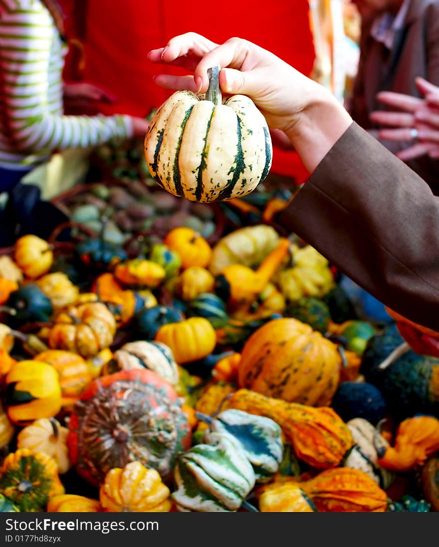 Pumpkins being bought at stall