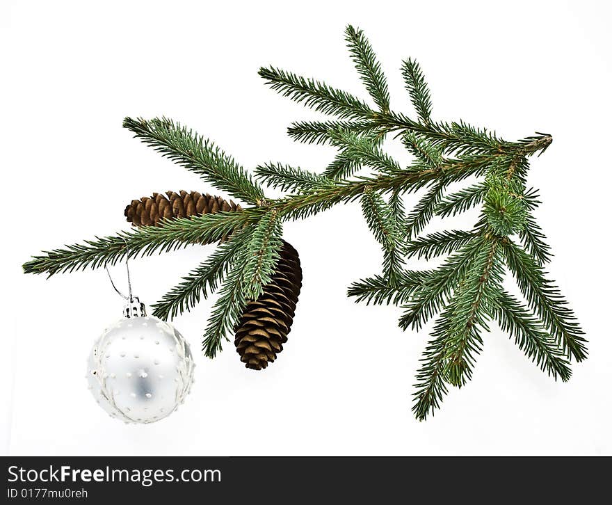 Fir tree branch on a white background.  Christmas decoration. Fir tree branch on a white background.  Christmas decoration