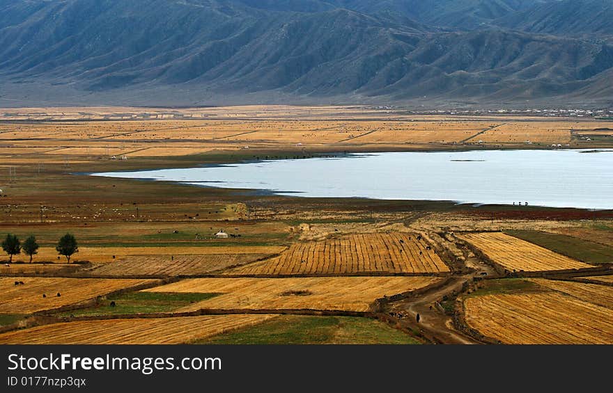 Farmland With Lake