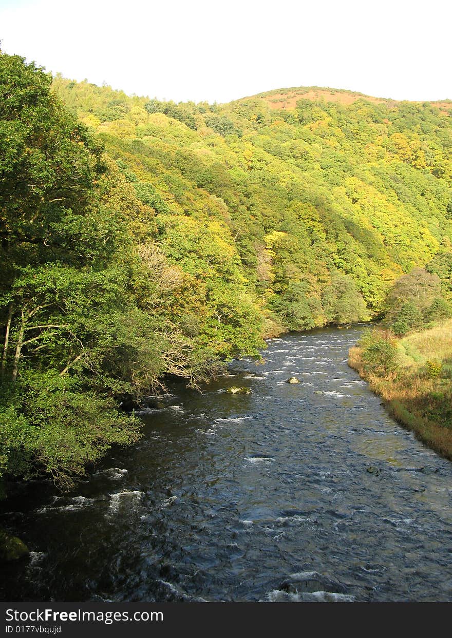 River Greta With Tree Lined Bank