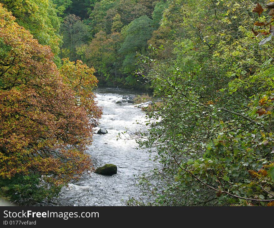 Autumnal River Greta