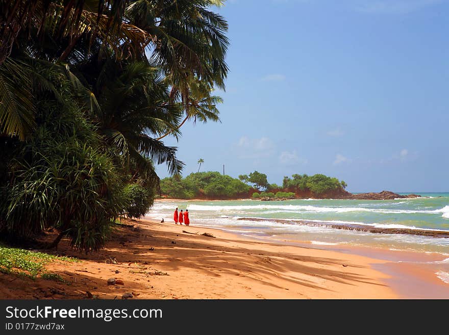 Three buddhist monks on tropical island coast. Three buddhist monks on tropical island coast