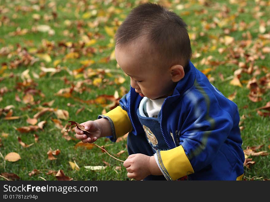 The boy at game in the lawn. The boy at game in the lawn