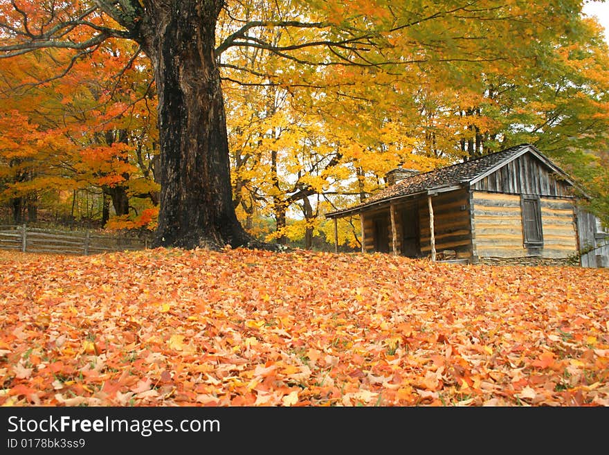 An old cabin in Virginia at the Grayson Highlands state park during fall of the year. An old cabin in Virginia at the Grayson Highlands state park during fall of the year.